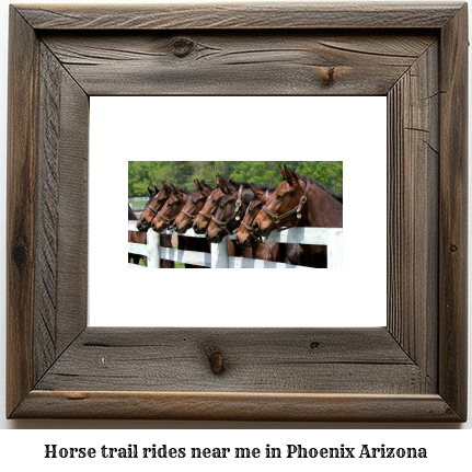 horse trail rides near me in Phoenix, Arizona